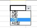 入力規則「リスト」の例